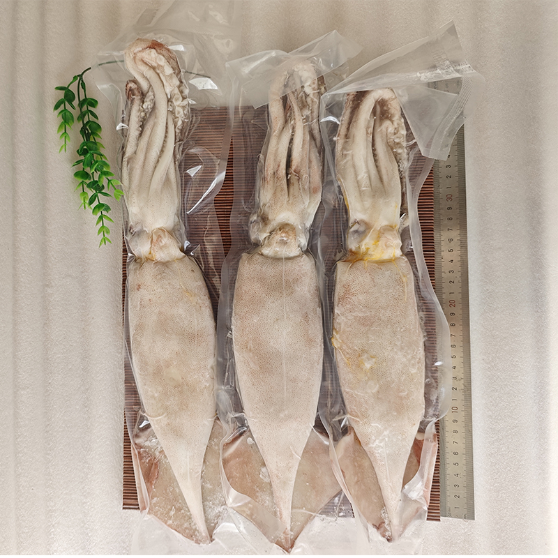 一共3条，大连本地鱿鱼