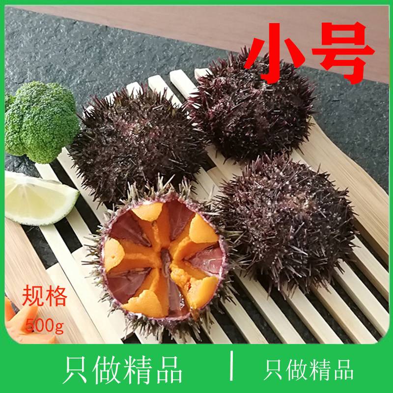 大连刺锅黄金虾夷黄胆小平岛海刺猬新鲜紫胆即食刺身鲜活马粪海胆