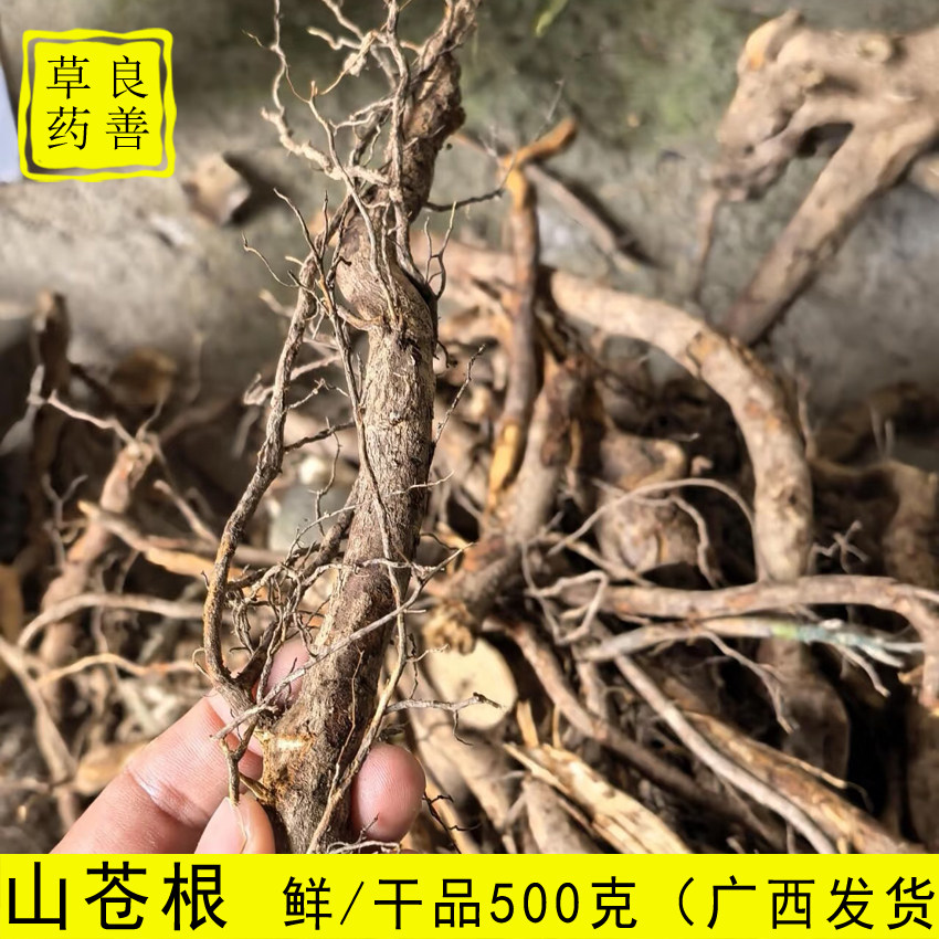 广西山苍子根野生山苍根山鸡椒树根木香子木姜子煲汤晒干生鲜都有
