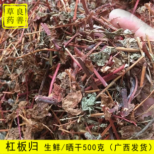 杠板归中药材500g 广西中草药蛇倒退药带状腰蛇泡皮肤湿痒洗澡