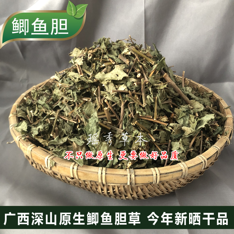 深山鲫鱼胆中草药材广西鲫鱼胆草小叔所说的空心花冷饭果岑心