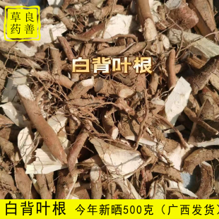 广西白背叶根晒干 纯根 白小娘根 帽顶树根白膜根白朴根 农村直发