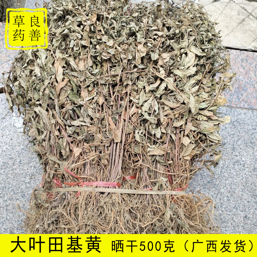 广西红根草干货大田基黄 星宿菜