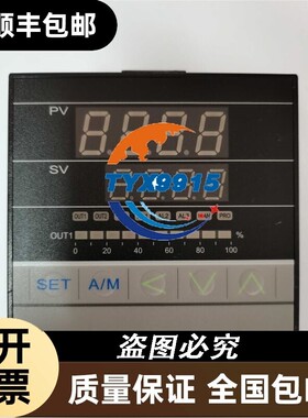 FY900 FY900-301003 S1 1600度 FY900-101/201 台湾台仪仪表T