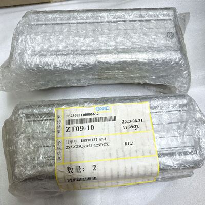 气缸ZT09-10 2个，未拆封型号25A