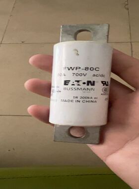 熔断器FWP—80C