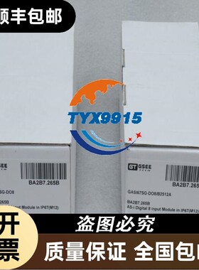 *销售*全新GSEE TECH吉诺模块GASI67SG-DO8