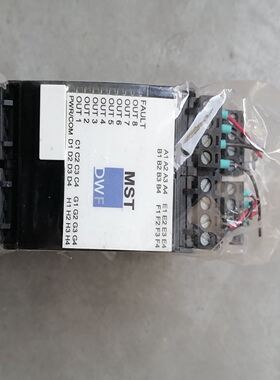 MST多通道闪光控制器，型号5-07083-0，DW
