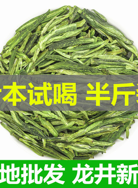 龙井茶叶2025新绿茶豆香型雨前春茶口粮散装龙井茶叶自己喝250g