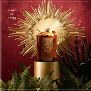 重磅！The Coronation「加冕礼」进口配方事业机遇许愿蜡烛香薰