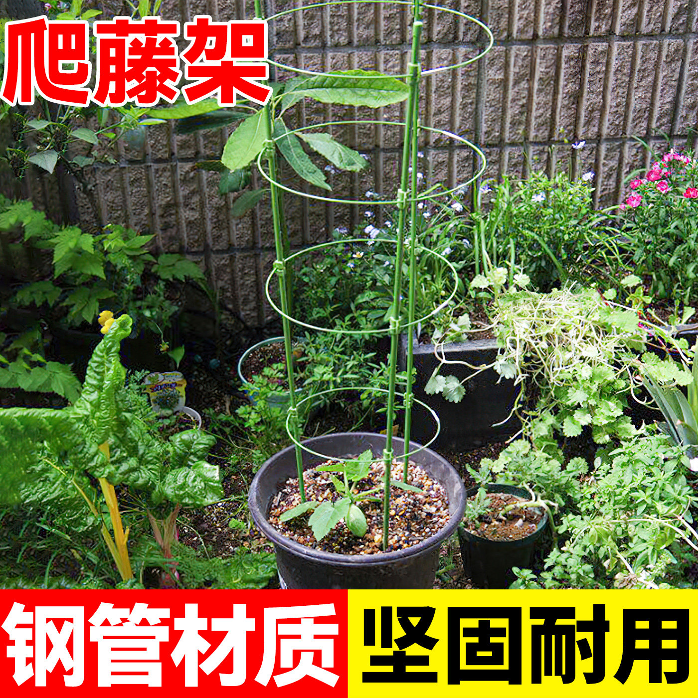 花架爬藤支架花盆园艺支柱月季铁线莲球兰绿萝植物防倒攀爬支撑杆
