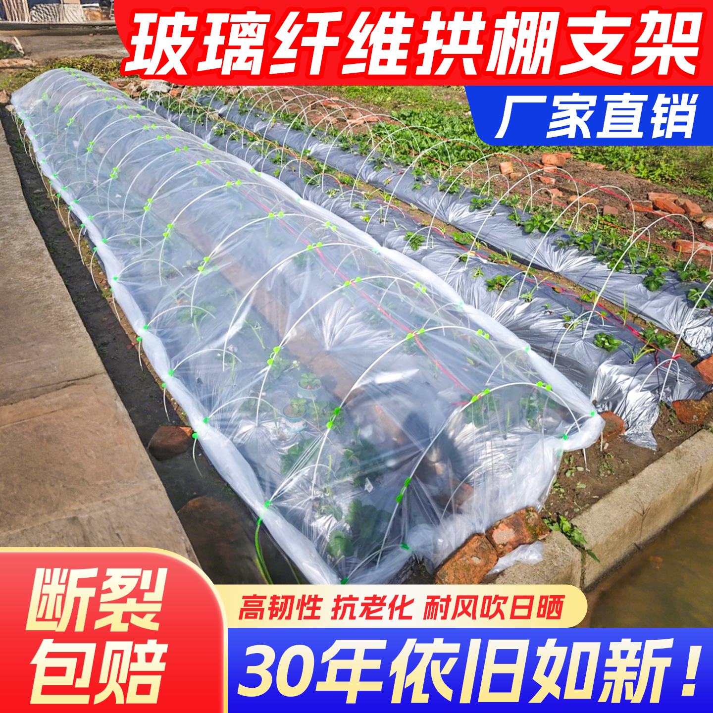 大棚骨架玻璃纤维小拱棚支架