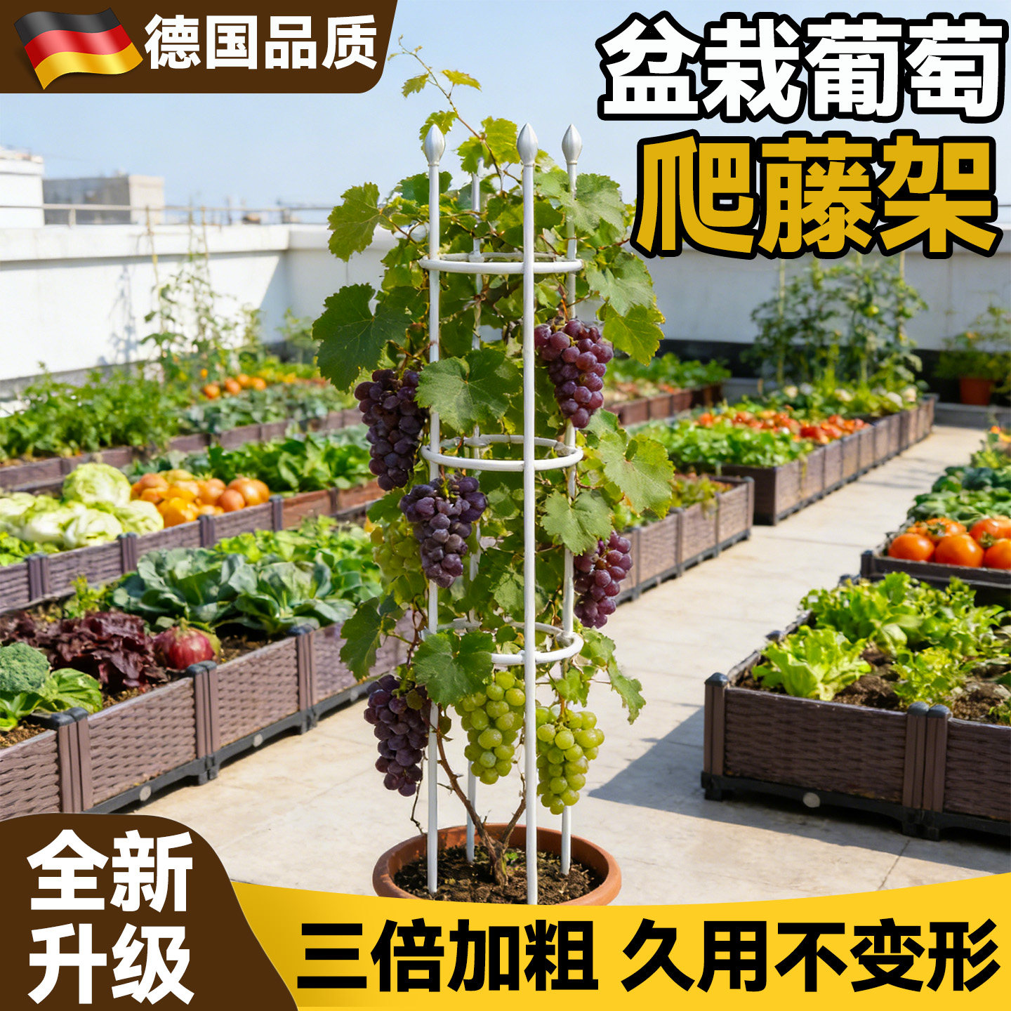 盆栽葡萄爬藤架楼顶种菜架子黄瓜爬藤架阳台花盆支撑架番茄支撑杆