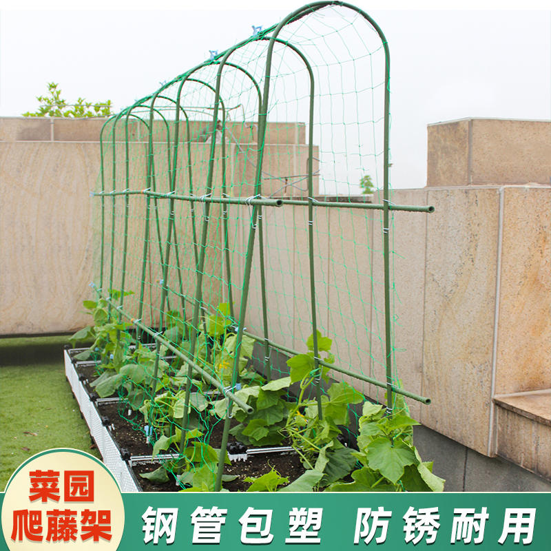 黄瓜爬藤架豆角架杆蔬菜棚番茄架种菜农用拱棚爬架搭架子种植箱