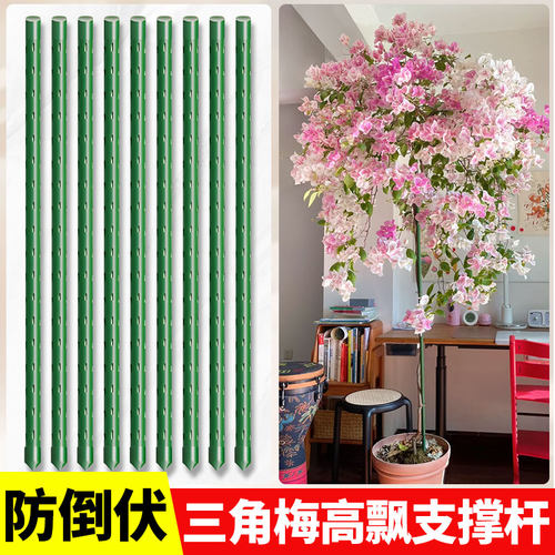 三角梅高飘支撑杆防倒伏花架