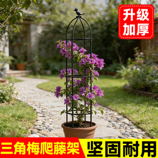 三角梅造型支架月季花架铁线莲爬藤架花卉植物支撑杆花支架固定架