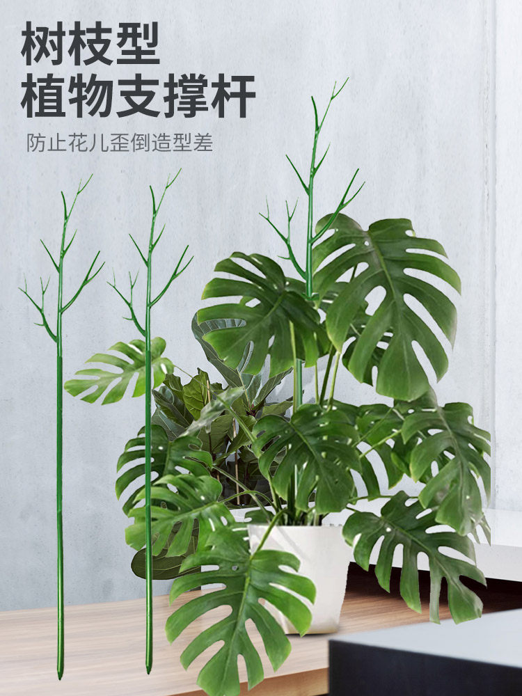 植物支撑杆树枝型防倒伏固定攀爬龟背竹支撑架爬藤园艺造型花支架