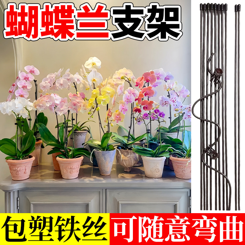 绿植植物蝴蝶兰花夹子专用爬藤花卉夹造型支架矫正夹藤蔓固定夹花