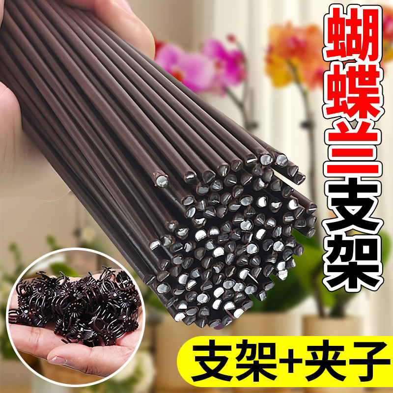 蝴蝶兰花支架兰花夹子爬藤花卉固定造型铁丝园艺植物防倒伏支撑杆