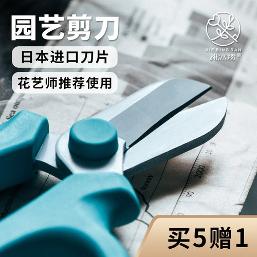 园艺剪刀修枝剪家用花剪