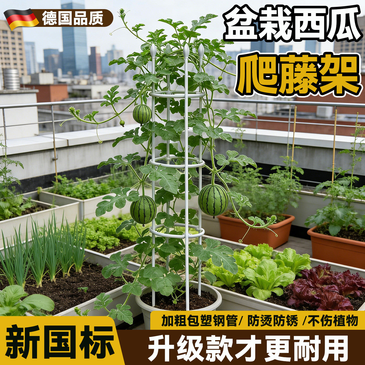 西瓜爬藤架子盆栽楼顶种菜支撑杆阳台黄瓜豆角番茄攀爬架花盆支架图片