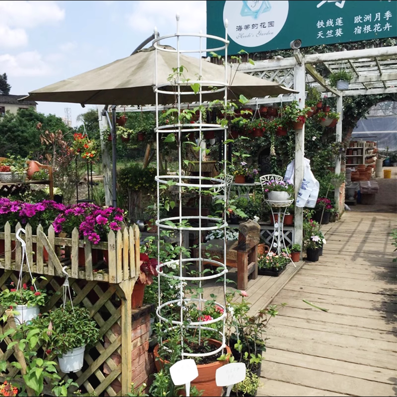 花架爬藤架月季花盆支撑支架柱形架子蓝雪花蟹爪兰藤架固定攀爬杆