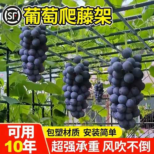 葡萄架子户外室外园艺包塑钢管