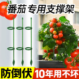 西红柿番茄辣椒固定杆爬藤吊兰园艺花架花支撑架植物防倒伏支撑杆