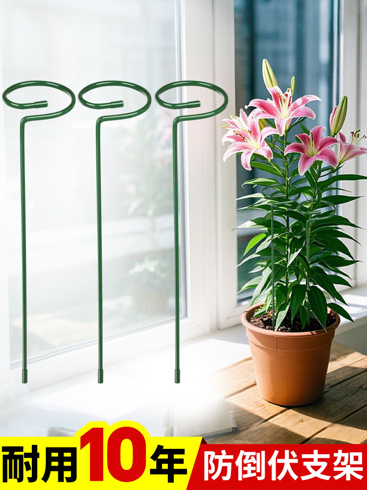 植物防倒伏支架铁艺绣球吊兰支撑杆园艺固定架爬藤花卉朱顶红花架