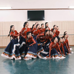 藏族半身裙大摆裙藏族艺考练习裙 女民族服装 新款 藏族舞蹈演出服装