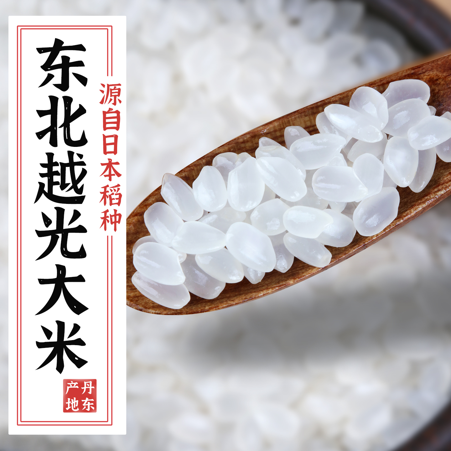 正宗越光大米当季新米日本饭团寿司米专用东北大米小包装5斤*2袋