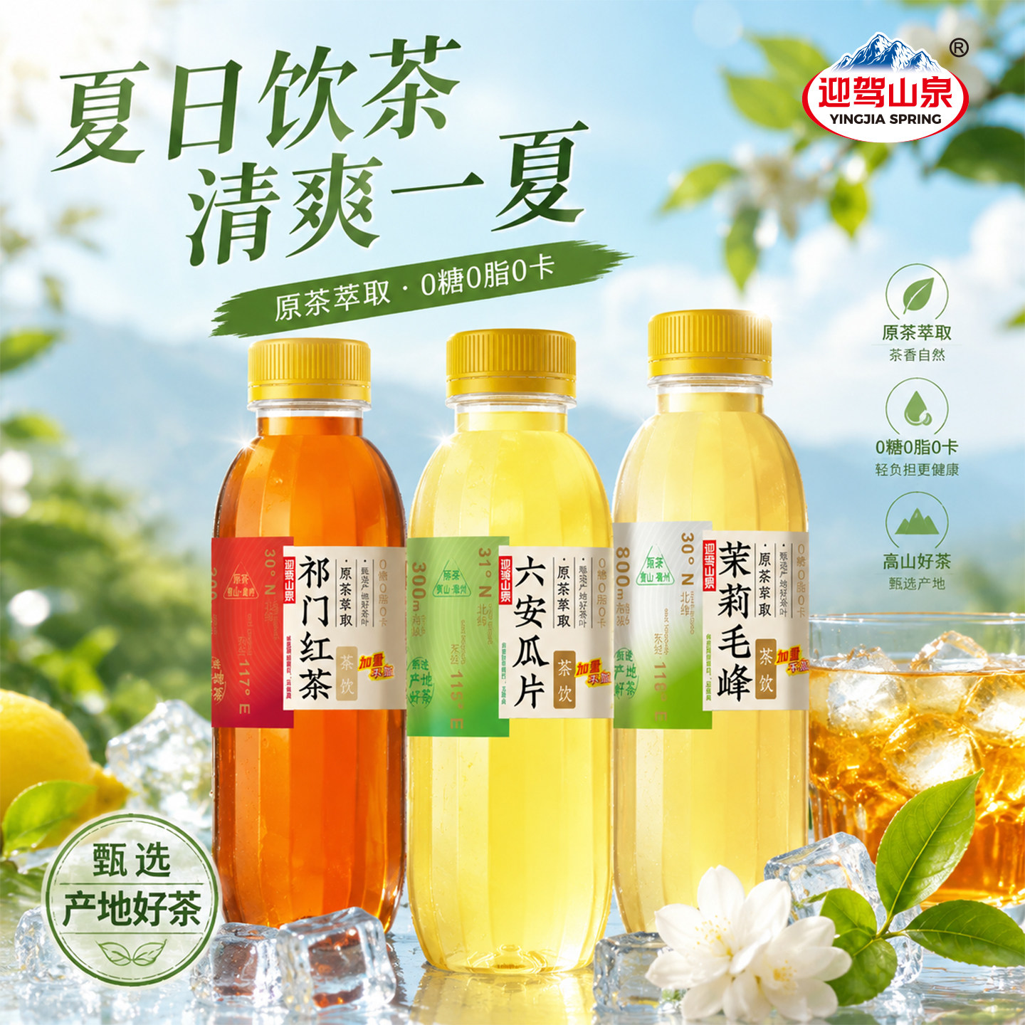 迎驾山泉无糖茶饮品520mL*15瓶