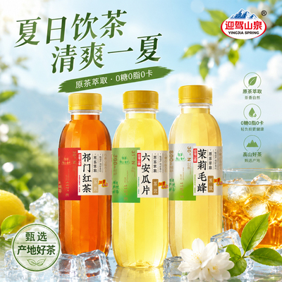 迎驾山泉无糖茶饮品520mL*15瓶