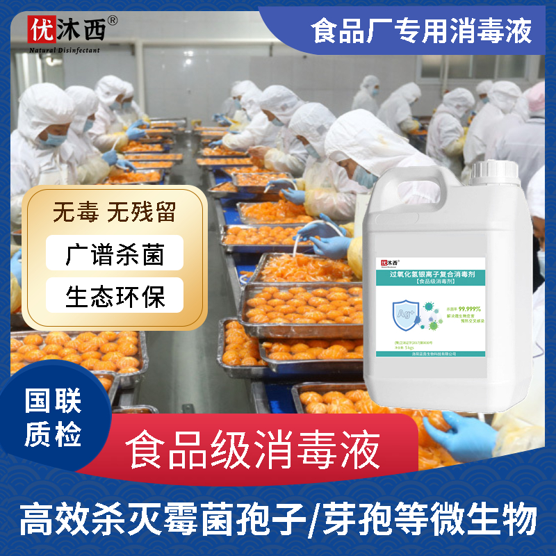 食品厂专用银离子消毒液原材料空间设备管道人员消毒杀菌食品级 洗护清洁剂/卫生巾/纸/香薰 商用消毒液 原图主图