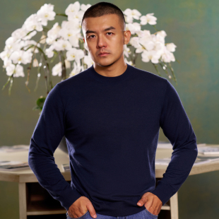 纯色保暖Allen 秋冬套头针织衫 Xie艾伦谢 男士 精纺圆领羊绒衫