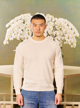 圆领山羊绒羊毛衫套头毛衣针织衫男保暖休闲多色Allen Xie艾伦谢