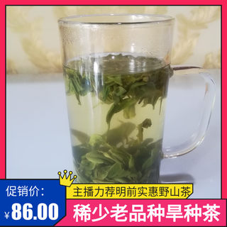 淘宝直播明前信阳毛尖绿茶高山纯手工野山茶茶农自销特产250g散装