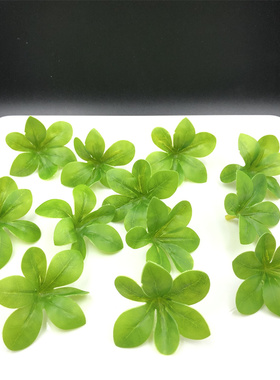 酒店创意花草盆饰假花树叶仿真吊钟叶摆盆装饰3D绿植叶子diy假叶