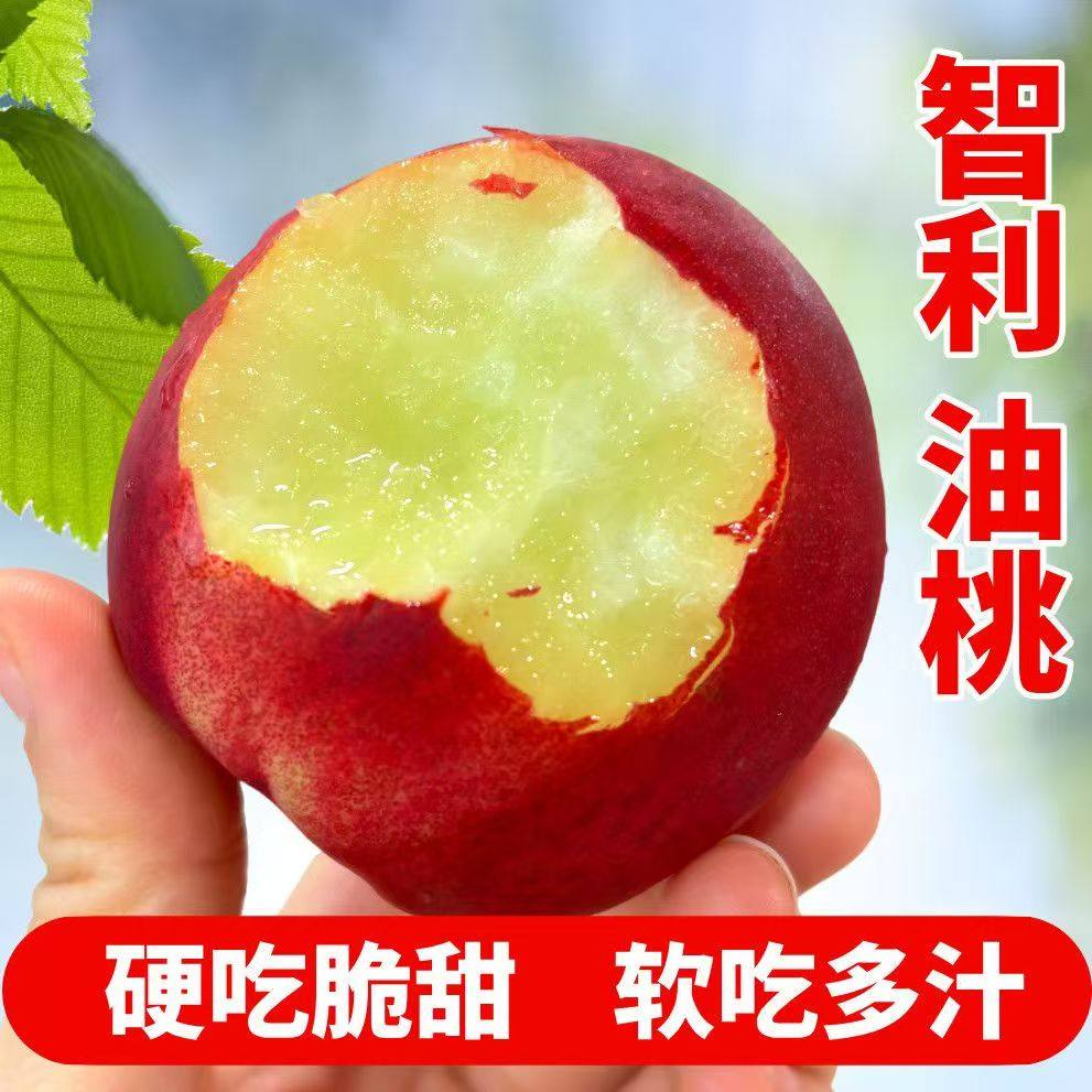 智利油桃进口新鲜油桃孕妇水果应季水果正宗当季脆桃子坏果包赔,水产肉类/新鲜蔬果/熟食,桃,淘宝优惠券,粉丝福利购,淘宝优惠卷