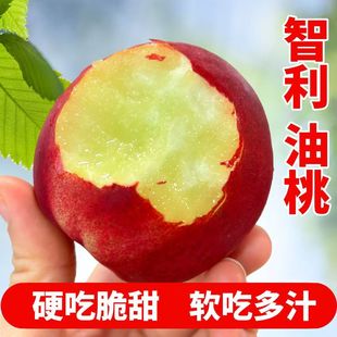 智利油桃进口新鲜油桃孕妇水果应季水果正宗当季脆桃子坏果包赔