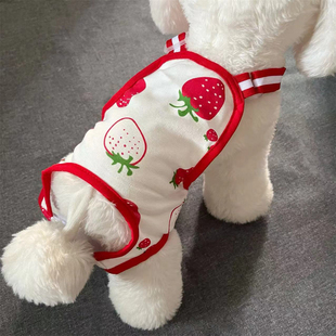 宠物狗狗生理月经裤女薄款绝育服母狗例假大姨妈安全防骚扰防交配