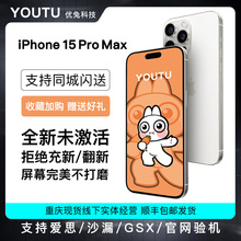 Apple/苹果 iPhone 15 Pro Max 官方官网旗舰全网新款2023款US