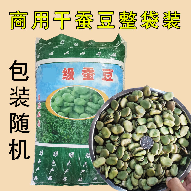 商用大颗粒绿皮青皮生干蚕豆50斤种子做鱼饲料农家大罗汉豆杂粮