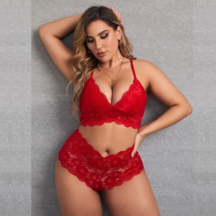 Plus Size Curvy Women's Lingerie Lace Bra Set Two-Piece
