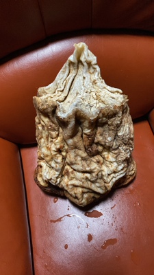 【千年太岁】肉灵芝 精品老皮老肉 12斤