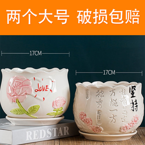 特价花盆陶瓷花盆土养多肉组合专用盆小瓷底托盘大号新款肉肉加厚