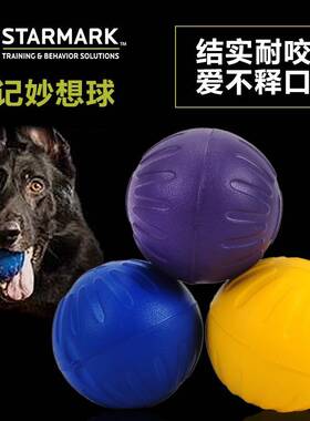 包邮大号starmark星记妙想球宠物狗狗互动玩具耐咬磨牙球训狗用品