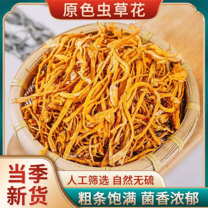 当季虫草花干货精选孢子头新鲜金蛹虫草煲汤香味浓郁挑选粗条饱满