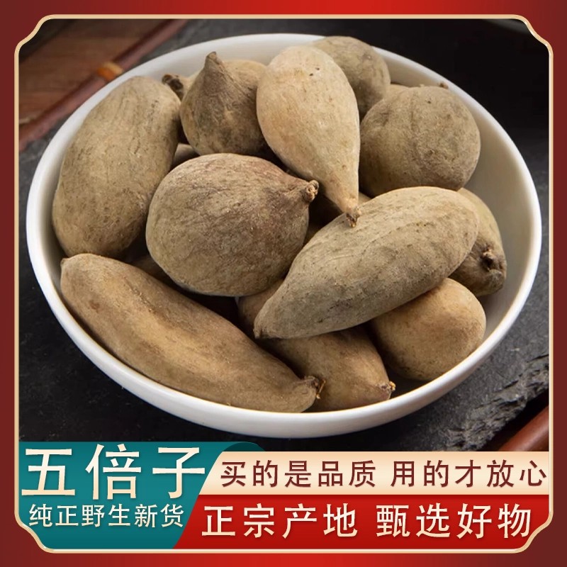精选五倍子中药材新货正品大颗饱满质地紧实晾晒干燥干货无硫无杂
