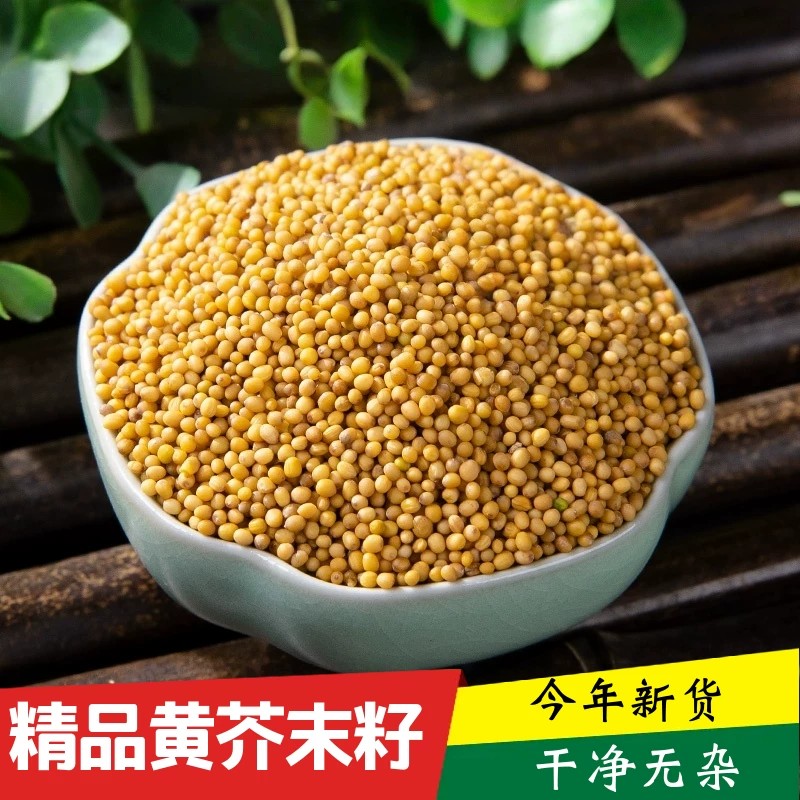 黄芥子精选今年粒食用纯正黄芥末籽黄芥末子芥子香气浓郁干净饱满